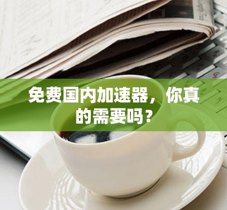 免费国内加速器，你真的需要吗？