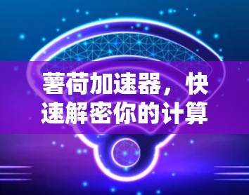 薯荷加速器，快速解密你的计算瓶颈