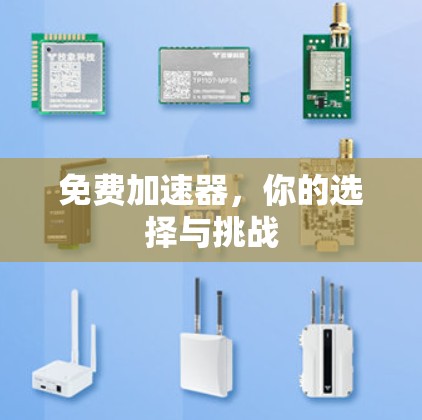 免费加速器，你的选择与挑战