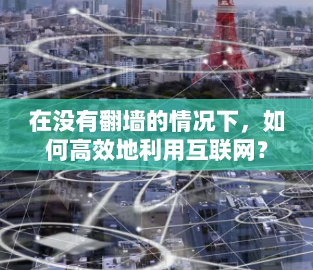 在没有翻墙的情况下，如何高效地利用互联网？