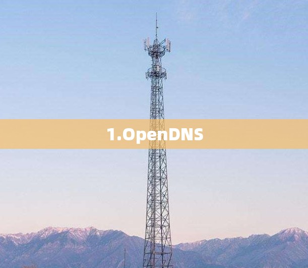 1.OpenDNS