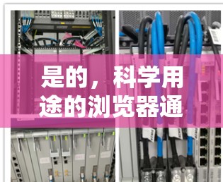 是的，科学用途的浏览器通常需要具备复杂的数学功能、公式编辑、绘图和在线计算等。以下是一些适合科学用途的浏览器推荐