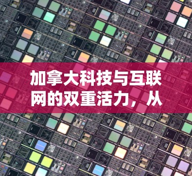 加拿大科技与互联网的双重活力，从数据到智慧