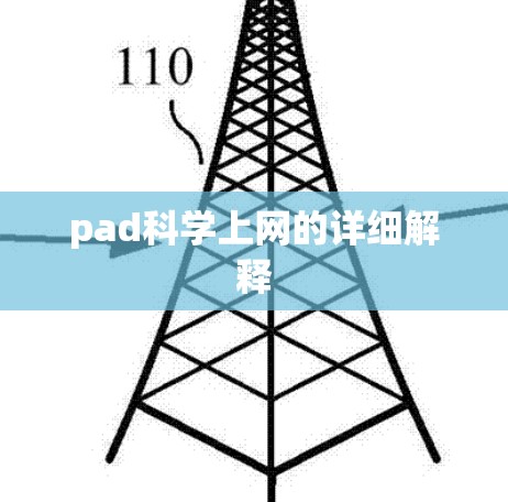 pad科学上网的详细解释