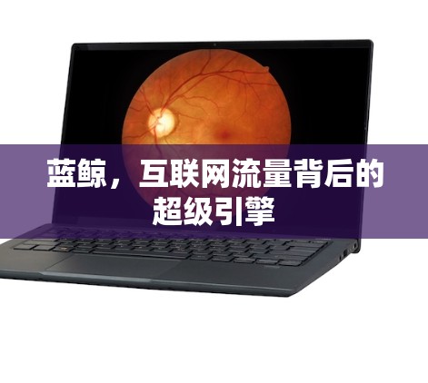 蓝鲸，互联网流量背后的超级引擎