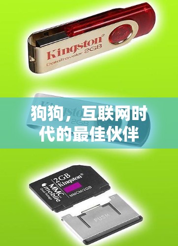 狗狗，互联网时代的最佳伙伴