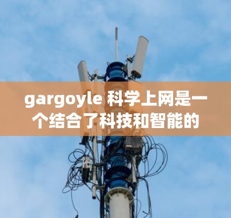 gargoyle 科学上网是一个结合了科技和智能的领域，旨在通过先进的技术手段提升上网体验，解决传统上网的不足，并推动智能设备和物联网技术的发展。以下是关于这一主题的详细总结