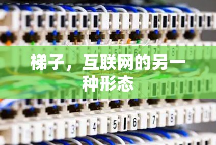 梯子，互联网的另一种形态