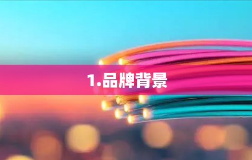 1.品牌背景