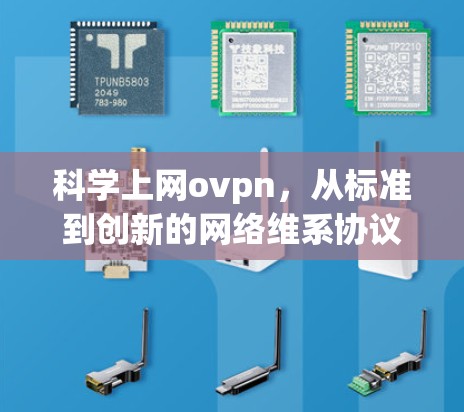 科学上网ovpn，从标准到创新的网络维系协议