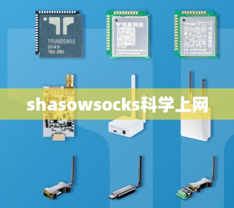 shasowsocks科学上网