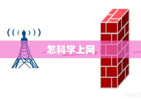 怎科学上网