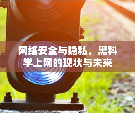网络安全与隐私，黑科学上网的现状与未来