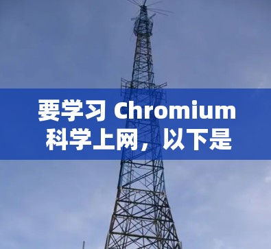 要学习 Chromium 科学上网,以下是一个结构化的学习计划 要学习 Chromium 科学上网,以下是一个结构化的学习计划