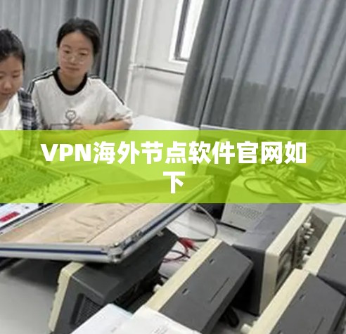 VPN海外节点软件官网如下
