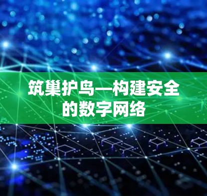筑巢护鸟—构建安全的数字网络