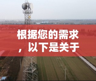 根据您的需求，以下是关于VPN服务器的详细介绍和推荐
