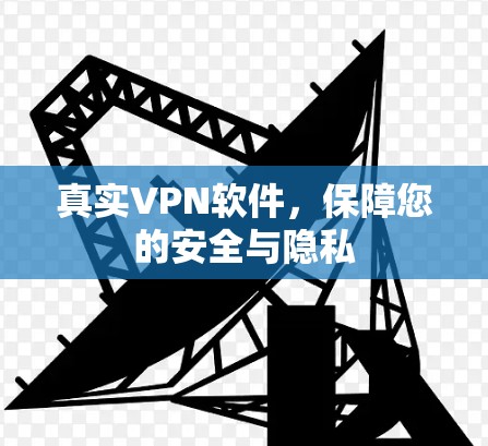 真实VPN软件,保障您的安全与隐私 真实VPN软件,保障您的安全与隐私