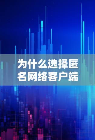 为什么选择匿名网络客户端？一款安全可靠的远程办公新选择