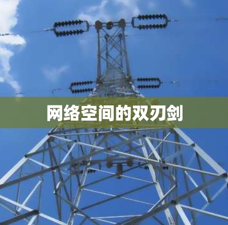 网络空间的双刃剑