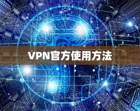 VPN官方使用方法