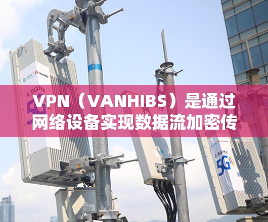 VPN（VANHIBS）是通过网络设备实现数据流加密传输的技术，通常用于保护个人或商业的在线隐私和数据安全。以下是关于VPN的免费下载和使用方法的详细信息