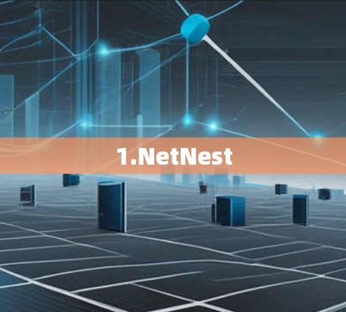1.NetNest