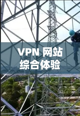 VPN 网站综合体验报告