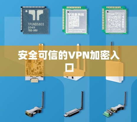 安全可信的VPN加密入口