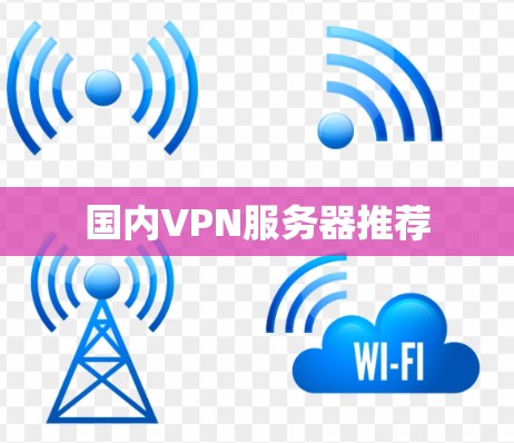 国内VPN服务器推荐