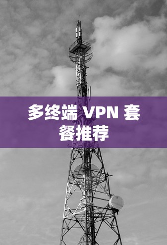 多终端 VPN 套餐推荐