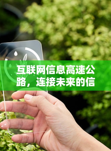 互联网信息高速公路，连接未来的信息传输网络