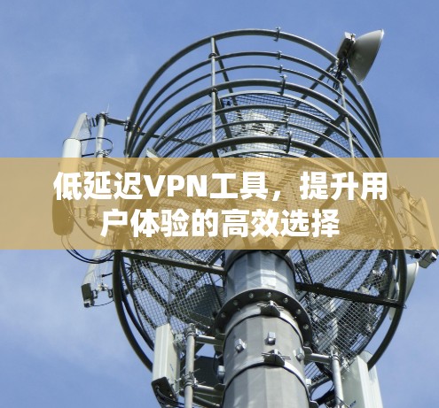 低延迟VPN工具，提升用户体验的高效选择