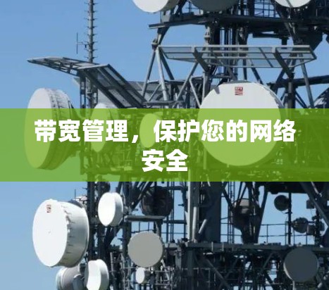 带宽管理,保护您的网络安全 带宽管理,保护您的网络安全