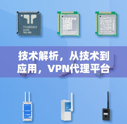 技术解析，从技术到应用，VPN代理平台的技术解析与应用解析