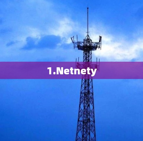 1.Netnety