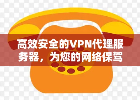 高效安全的VPN代理服务器，为您的网络保驾护航！