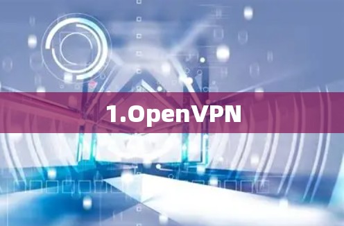 1.OpenVPN