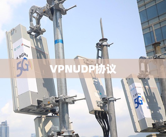 VPNUDP协议