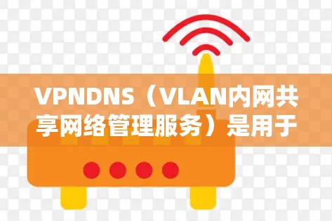 VPNDNS（VLAN内网共享网络管理服务）是用于管理VLAN内网共享网络的节点服务。它允许用户创建、管理、删除共享网络节点，并根据用户访问权限进行访问控制