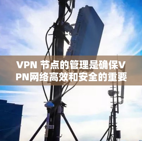 VPN 节点的管理是确保VPN网络高效和安全的重要步骤。以下是详细的 VPN 节点管理指南