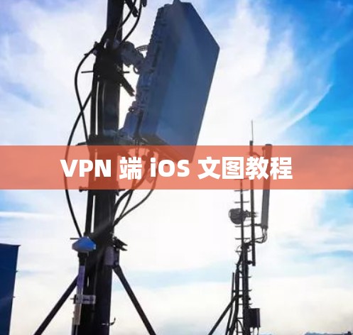 VPN 端 iOS 文图教程