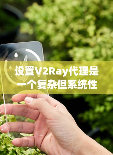 设置V2Ray代理是一个复杂但系统性的过程，涉及多个步骤和配置文件。以下是一个详细且系统化的教程，帮助您顺利设置V2Ray代理