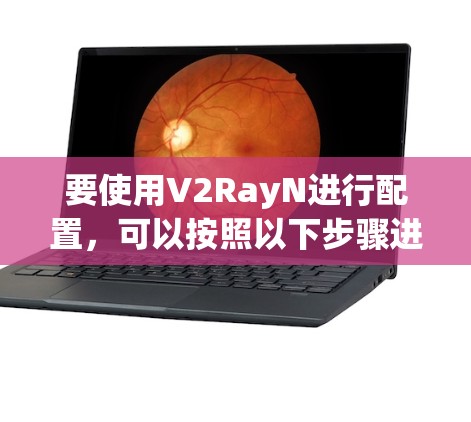 要使用V2RayN进行配置，可以按照以下步骤进行