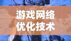 游戏网络优化技术与应用