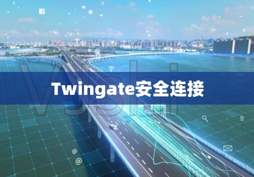 Twingate安全连接 Twingate安全连接