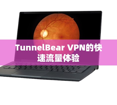 TunnelBear VPN的快速流量体验