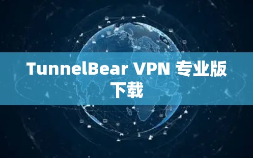 TunnelBear VPN 专业版下载 TunnelBear VPN 专业版下载