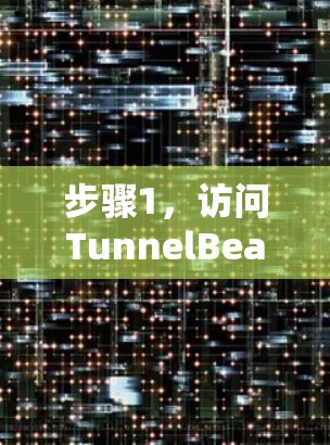 步骤1，访问TunnelBear VPN官网