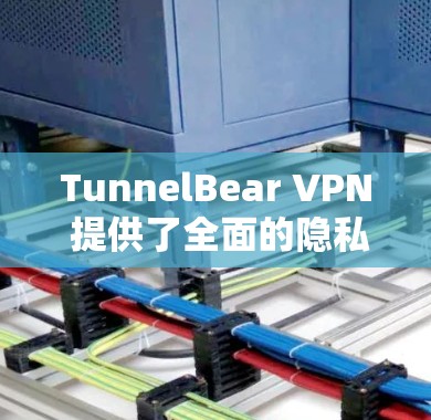 TunnelBear VPN 提供了全面的隐私保护和安全功能，以确保用户在使用 VPN 时的隐私和安全。以下是其隐私保护说明的详细内容